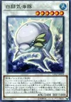 Product image for White Aura Dolphin