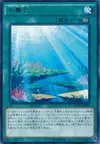 Product image for Aquarium Stage