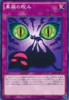Product image for Black Cat-astrophe