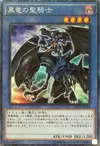 Product image for Paladin of Dark Dragon
