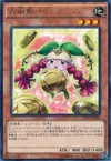 Product image for Prediction Princess Coinorma