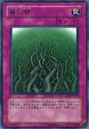 Product image for Wall of Thorns
