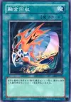 Product image for Fusion Recovery