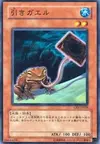 Product image for Poison Draw Frog
