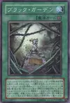Product image for Black Garden