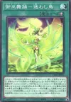 Product image for Danse Mikanko - Mayowashidori