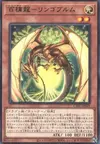 Product image for Ringowurm, the Dragon Guarding the Hundred Apples