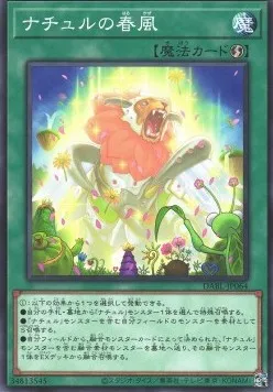 Naturia Blessing — Darkwing Blast — Yu-Gi-Oh! OCG