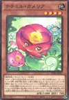 Product image for Naturia Camellia