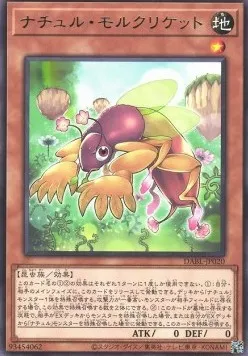 Naturia Mole Cricket — Darkwing Blast — Yu-Gi-Oh! OCG