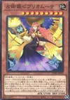 Product image for Prediction Princess Bibliomuse