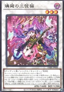Chat Triste au Shamisen Samsara — Darkwing Blast — Yu-Gi-Oh! OCG