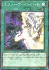 Product image for Importation Xyz