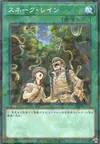 Product image for Snake Rain