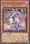 Product image for Maliss <P> White Rabbit