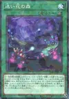 Product image for Forest of Lost Flowers