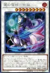 Product image for Yoko, the Graceful Mayakashi
