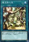 Product image for Secret Village of the Spellcasters