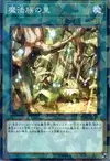 Product image for Secret Village of the Spellcasters