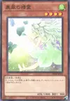 Product image for Spirit of the Fall Wind