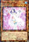 Product image for Cyclamen the Rikka Fairy