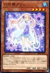 Product image for Primula the Rikka Fairy