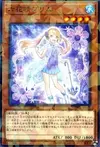 Product image for Primula the Rikka Fairy