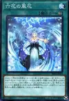 Product image for Rikka Flurries