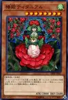 Product image for Tytannial, Princess of Camellias