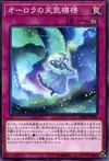 Product image for The Weather Auroral Canvas