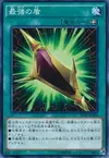 Product image for Magnum Shield