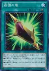 Product image for Magnum Shield