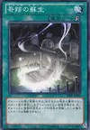 Product image for Miraculous Rebirth