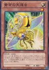Product image for Golden Ladybug