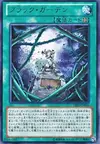 Product image for Black Garden