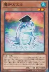 Product image for Dupe Frog