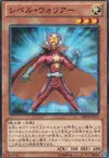 Product image for Level Warrior