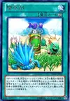 Product image for Miracle Fertilizer