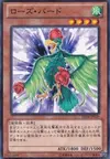 Product image for Bird of Roses