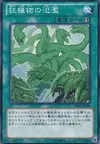 Product image for Raging Mad Plants