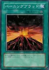 Product image for Molten Destruction