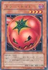 Product image for Mystic Tomato