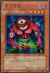 Product image for Big Eye