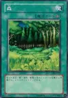 Product image for Forest