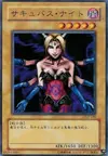 Product image for Succubus Knight