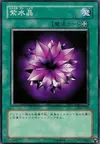 Product image for Violet Crystal