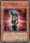 Product image for Lady Assailant of Flames