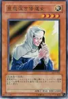 Product image for The Forgiving Maiden