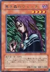 Product image for Witch of the Black Forest