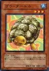 Product image for Gora Turtle